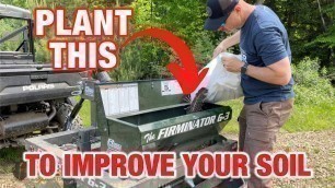 'Improve Your Soil With This Summer Food Plot'