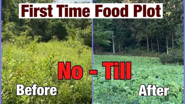 'No Till - First Time Food Plot'