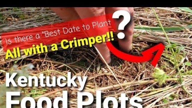 'Best Date To Plant a Food Plot for Whitetails Is?'