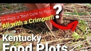 'Best Date To Plant a Food Plot for Whitetails Is?'