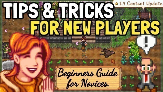 'The Complete BEGINNERS Guide For Stardew Valley 1.5!'