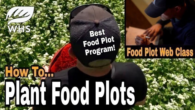 'How To Plant Food Plots - Is OUT!'