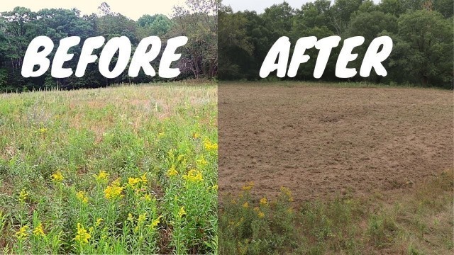 'Planting An August Food Plot!'