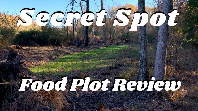 'Whitetail Institute - Secret Spot Food Plot Review - From planting through the end of the season!'