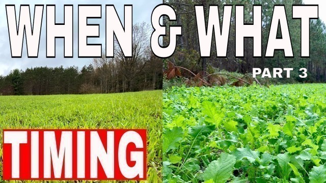 'What Food Plots & When should You Plant Them!'