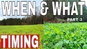 'What Food Plots & When should You Plant Them!'