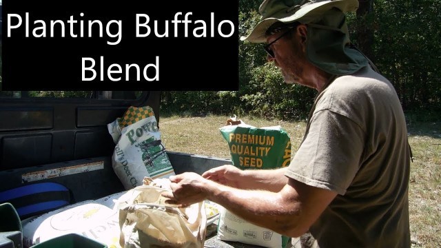 'Planting Eagle Seed Fall Buffalo Blend Food Plot'