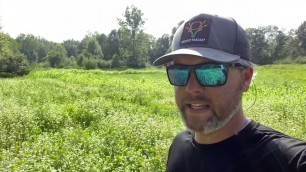 'ATV Roller Crimper Brassica Food Plot Planting'