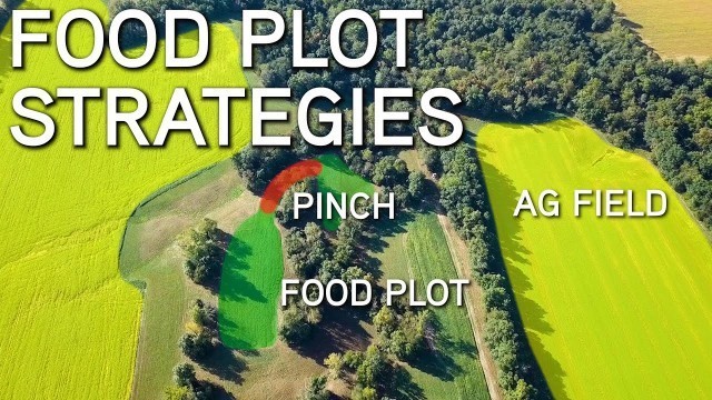 'Small Acre Food Plot Strategy For Better Deer Hunting'