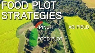 'Small Acre Food Plot Strategy For Better Deer Hunting'