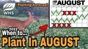 '2022 August Food Plot Planting Forecast'