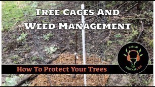 'How to protect trees DIY tree cage accessorizing food plot plant apple pear chestnut Habitat Podcast'