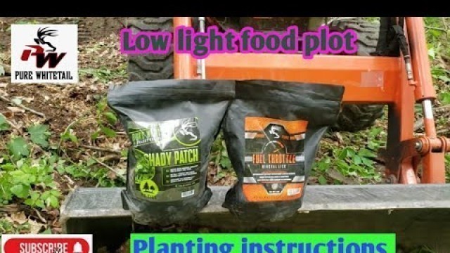 'How to prep and plant a low light food plot'