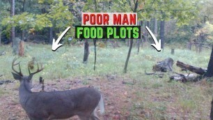 'Creating A Poor Man Food Plot For Better Deer Hunting - Start To Finish'