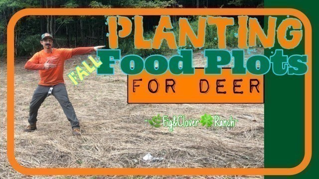 'Planting NO TILL Fall Food Plot for Deer 