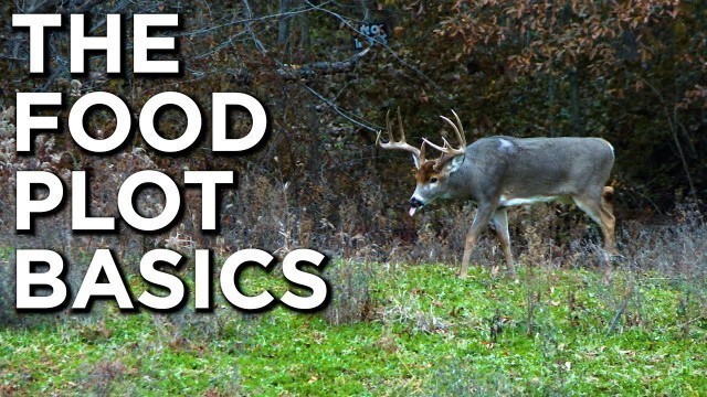 '5 KEY Food Plot Tips!! | Watch This Before You Plant!!'