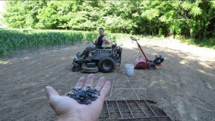 'HOW TO PLANT A DOVE FOOD PLOT!!(Sunflowers)'