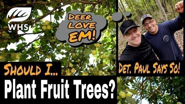 'Fruit Trees For Deer, Food Plots and S.W.A.T.'