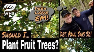 'Fruit Trees For Deer, Food Plots and S.W.A.T.'