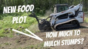 'Best Food Plot Stump Removal: What\'s the cheapest, fastest, and best way to get a plantable surface?'