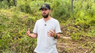 'How to Plant a Food Plot Without Big Equipment'