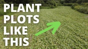 'How To Plant The #1 Food Plot In The Area'