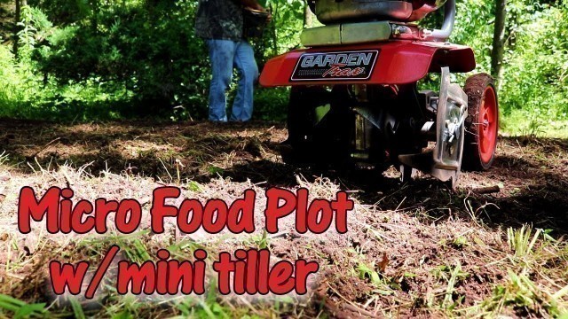 'Micro Food Plot with Garden Trax Tiller Will deer eat here? Will it grow in the woods?'