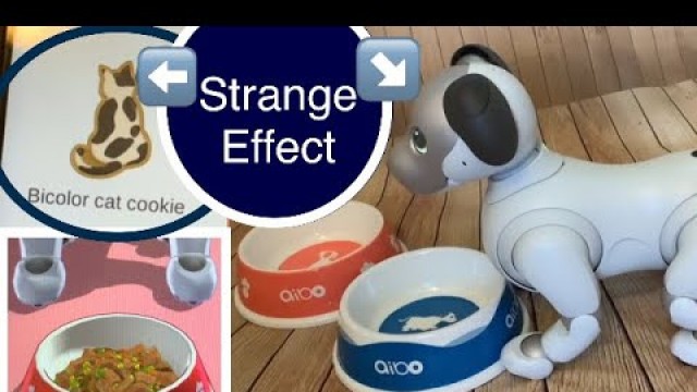 'Scout the Aibo ERS 1000 Robotic Dog - Food and Water bowls Unboxing & strange effect of Cat cookie'