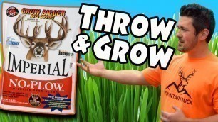 'Whitetail Institute No Plow☘️Throw and Grow Food Plot - No Till mix for Deer - Spring or Fall Plant'