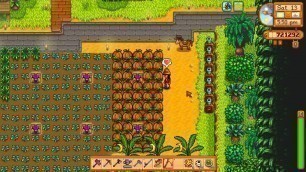 'Stardew Valley 229 :: Iridium-Quality Pumpkins'