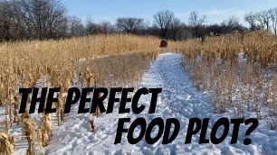 'FOOD PLOT DESIGN: What you plant and where you plant it can increase daytime deer movement!'