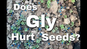 'Does Glyphosate Hurt Food Plot Seed? Experiment Part 1'