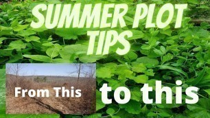 'Summer Food Plot Planting Tips'