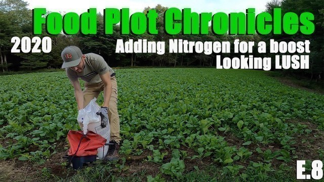 'Food Plot Chronicles I E.8 I Fertilizing Food Plots - Making or breaking your turnip plots'