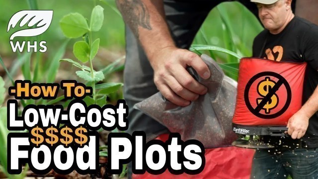 'How To Plant Cheap Food Plots'