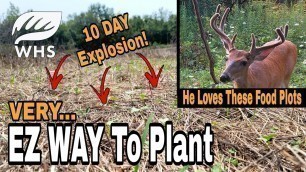 'New No Till Food Plot SUCCESS!'