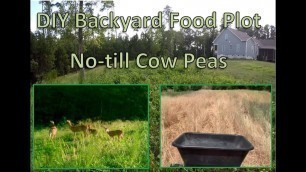 'DIY Back Yard No-till Deer Food Plot | Planting Cow Peas for Deer'