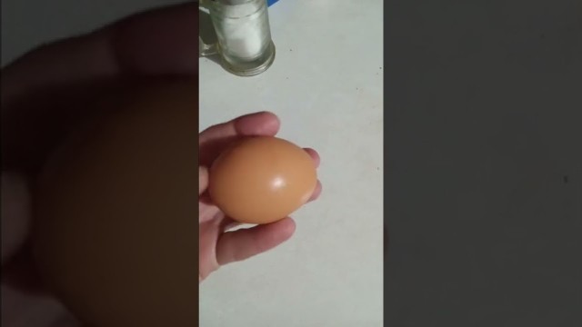 'Stardew valley irl L. brown egg- now where is our community center'