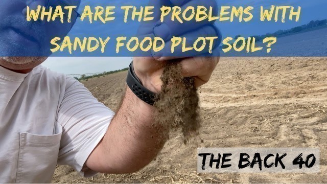 'What are the Problems of Sandy Food Plot Soil? - The Farmer Field Next Door'