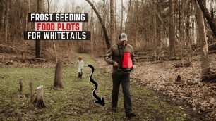 'Frost Seeding Food Plots For Whitetails'