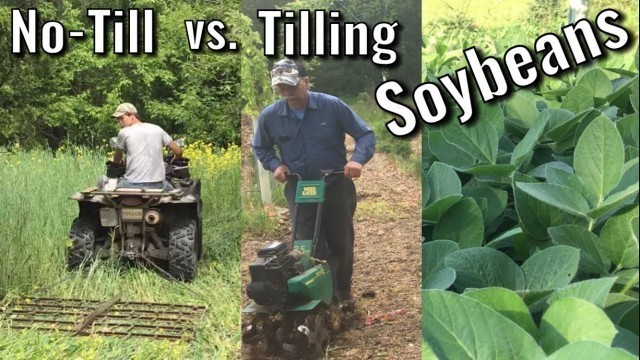 'No-Till vs Tilling Soybean Food Plots - Extremely Different ways to Plant a Food Plot'