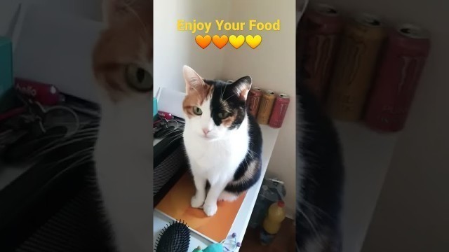 'Enjoy Your Food 