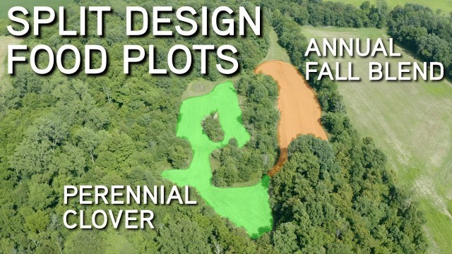 'The ULTIMATE Food Plot Design!! | Annual Fall Blend, Perennial Clovers & Architecture'