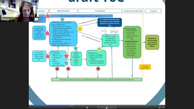 'Developing a project level Theory of Change'