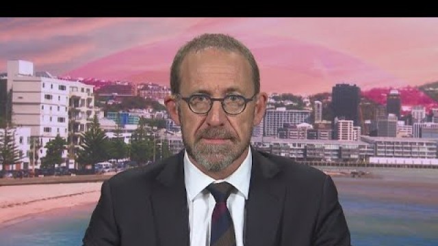 'Andrew Little rejects ‘conspiracy theory’ idea mental health report edited data to look better'