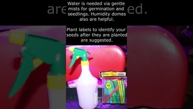 'Starting Your Seeds, What Will You Need? Want To Plant Some Food? Epi 9'