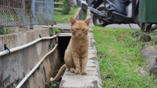 'Don\'t come any closer, I just want some food'