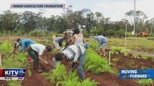 'Hawai\'i Agricultural Foundation hosts its second Food-A-Go-Go Week to help keep local farmers'