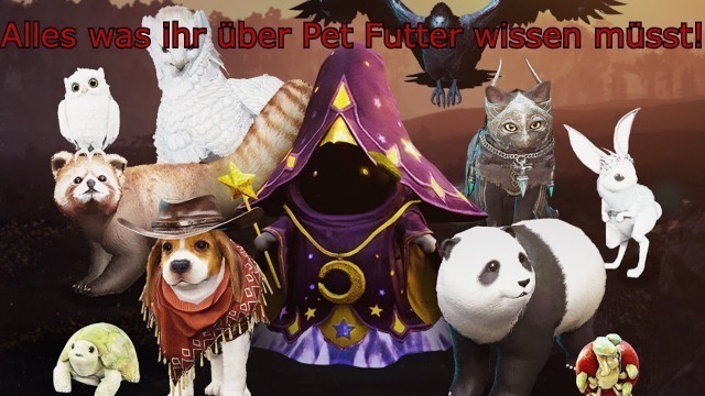 'Black Desert Online - Alles über Pet Futter - [Guide/2019]'