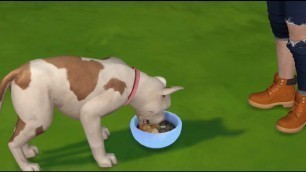 'THE SIMS 4 CC - TUTORIAL - CREATING A FUNCTIONAL FOOD BOWL'